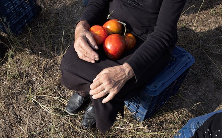 Το «Οταν ο Βάγκνερ Συνάντησε τις Ντομάτες» ανάμεσα στα 159 ντοκιμαντέρ που διεκδικούν μια θέση στα Οσκαρ