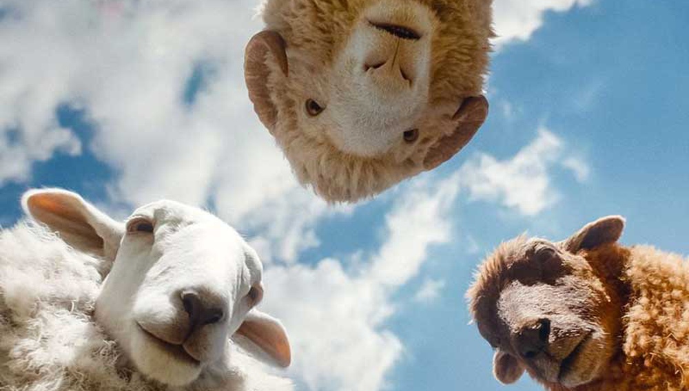 Οι Μαλλιαροί Ντετέκτιβ