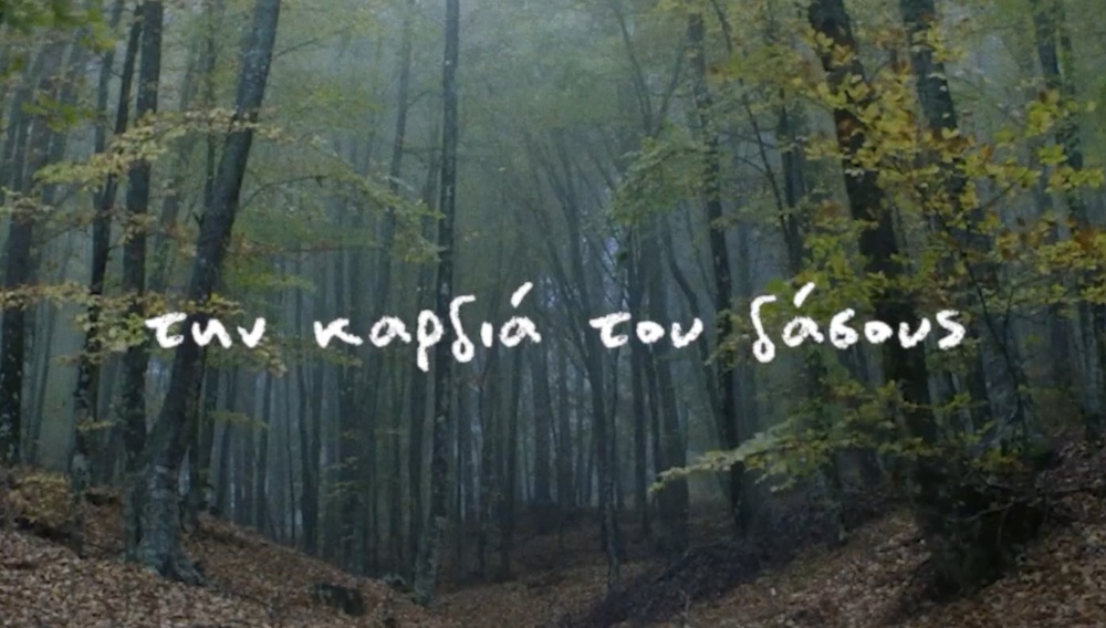5ο Evia Film Project: Το φετινό καλοκαίρι περνάει μέσα από την καρδιά του δάσους!