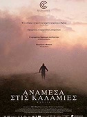Ανάμεσα στις Καλαμιές