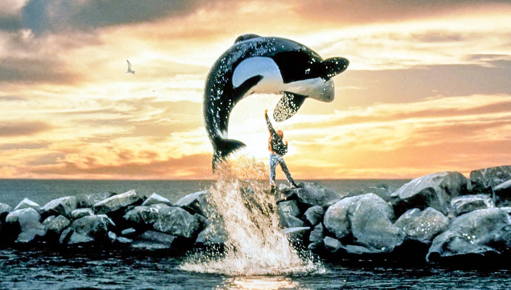 Το «Free Willy» επιστρέφει με remake, γιατί φυσικά μπορεί