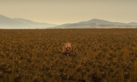 Το Flix διαλέγει τα καλύτερα τρέιλερ της εβδομάδας