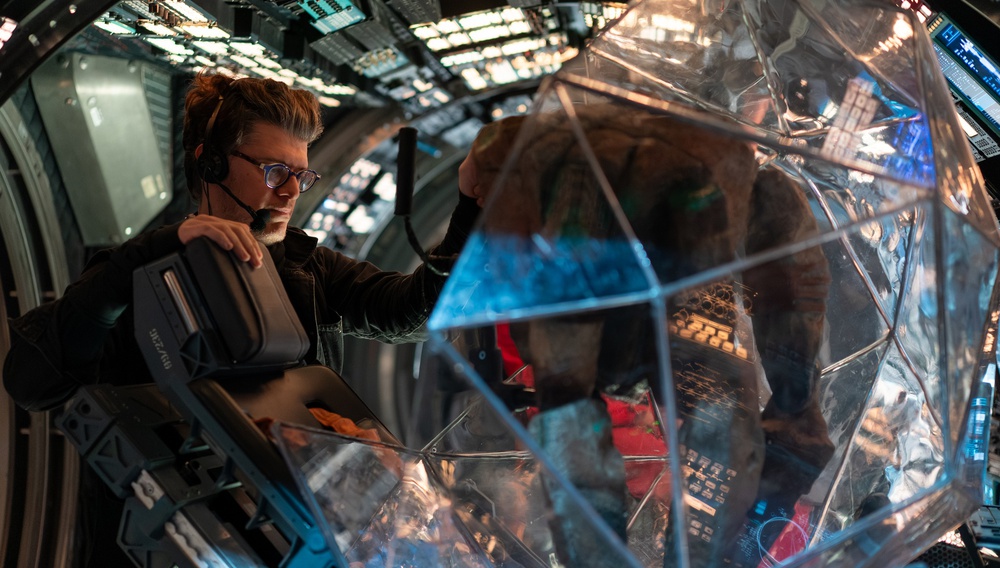 Μπορεί να είναι ο Ρόκι, o εξωγήινος του «Αποστολή Χαίρε Μαρία», υποψήφιος για Οσκαρ;