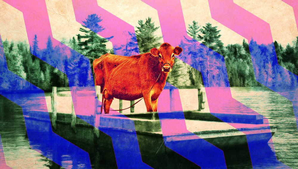 Το λεξικό του «First Cow» (σύμφωνα με την Κέλι Ράιχαρντ)