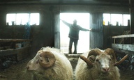 Κάννες 2015: Στο «Rams» το μεγάλο βραβείο του Un Certain Regard