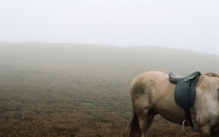 Teaser τρέιλερ για τα «Ανεμοδαρμένα Υψη»