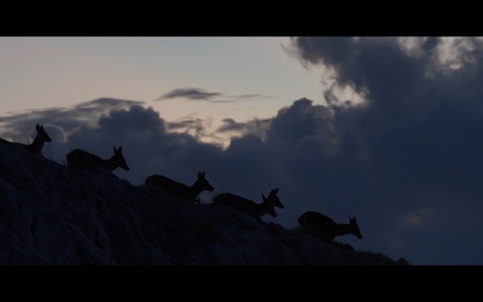 «Οι Επικηρυγμένοι»: Ελεύθερα στο ίντερνετ το μικρού μήκους ντοκιμαντέρ του Ιωνα Ευθυμίου