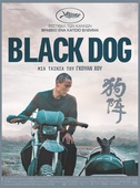 Black Dog