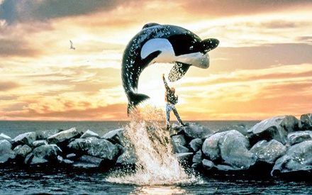 Το «Free Willy» επιστρέφει με remake, γιατί φυσικά μπορεί