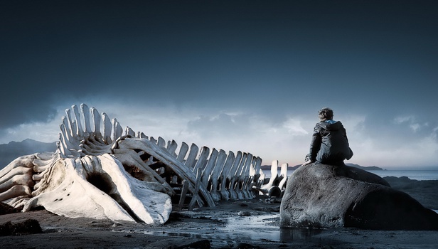 Οι ειδικές προβολές της εβδομάδας (12 - 18 Φεβρουαρίου 2026)