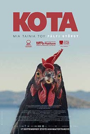 Κότα