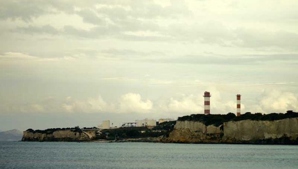 Το Μυστικό του Δάσους