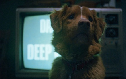 «Good Boy»: Δείτε το τρέιλερ της πιο αναπάντεχης ταινίας τρόμου της χρονιάς