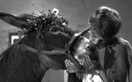 Τι βλέπουμε στο σπίτι την Παρασκευή, 9 Ιανουαρίου