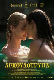 Αρκουδότρυπα