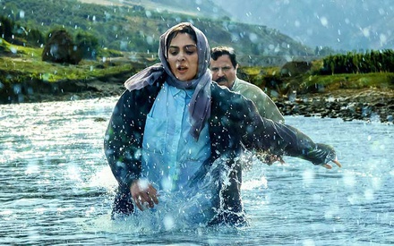 Στην Αγκαλιά του Δέντρου