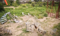 Ecodrome | Βλέποντας θερινό σινεμά σε καρέκλες φερ φορζέ, στη μέση ενός πορτοκαλεώνα
