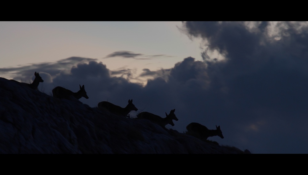 «Οι Επικηρυγμένοι»: Ελεύθερα στο ίντερνετ το μικρού μήκους ντοκιμαντέρ του Ιωνα Ευθυμίου