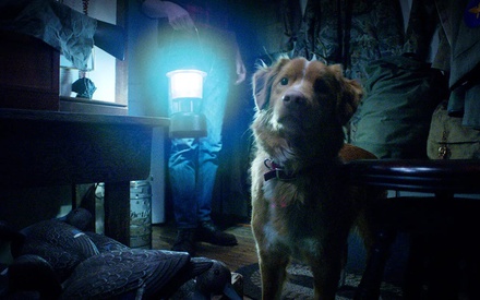 Γιατί ο σκυλάκος του «Πέθανε Αγάπη Μου» εκνεύρισε την Τζένιφερ Λόρενς;