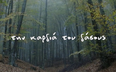 5ο Evia Film Project: Το φετινό καλοκαίρι περνάει μέσα από την καρδιά του δάσους!