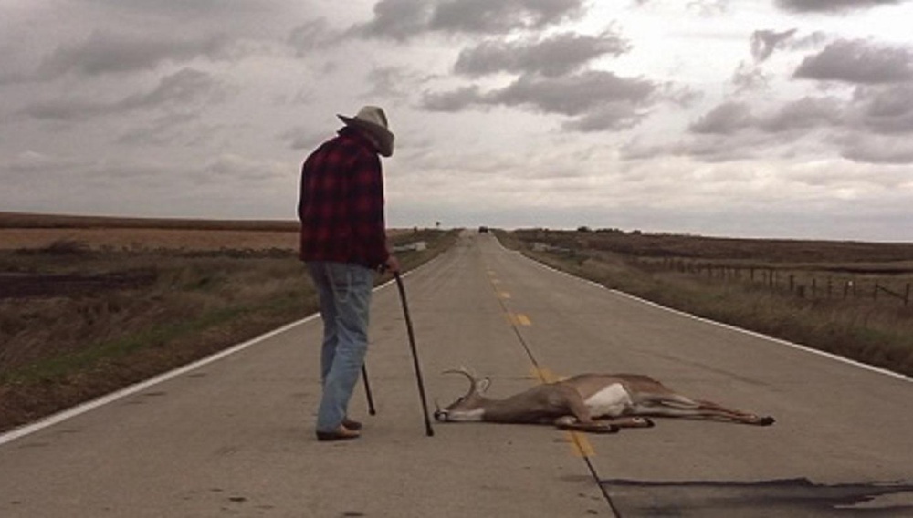 Τι βλέπουμε στο σπίτι την Πέμπτη, 16 Απριλίου