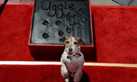 Τα πατουσάκια του Αγκι στο χολιγουντιανό Walk of Fame