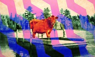 Το λεξικό του «First Cow» (σύμφωνα με την Κέλι Ράιχαρντ)