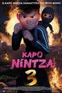 Καρό Νίντζα 3