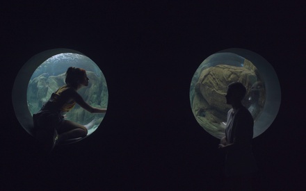 Παγκόσμια Ημέρα κατά της Σχολικής Βίας & Εκφοβισμού: Ας μείνουμε «ENOMENA»!