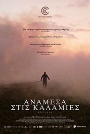 Ανάμεσα στις Καλαμιές