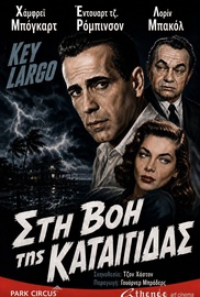 Στη Βοή της Καταιγίδας
