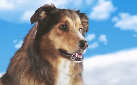 Aληθινά κακές ταινίες:  «Best Friend From Heaven»