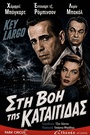 Στη Βοή της Καταιγίδας