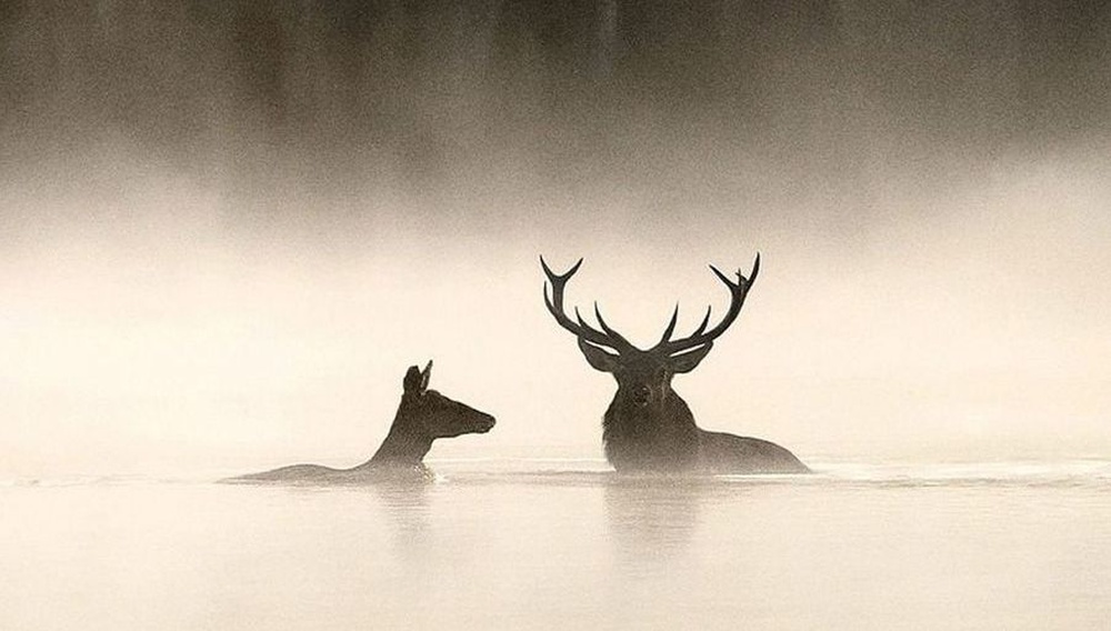 Προσεχώς: Οι ταινίες που θα δούμε στις αίθουσες από την Πέμπτη, 12 Φεβρουαρίου